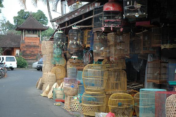 Bird-market