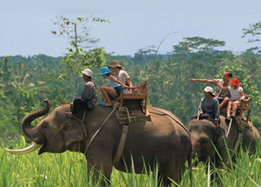 elephant-ride
