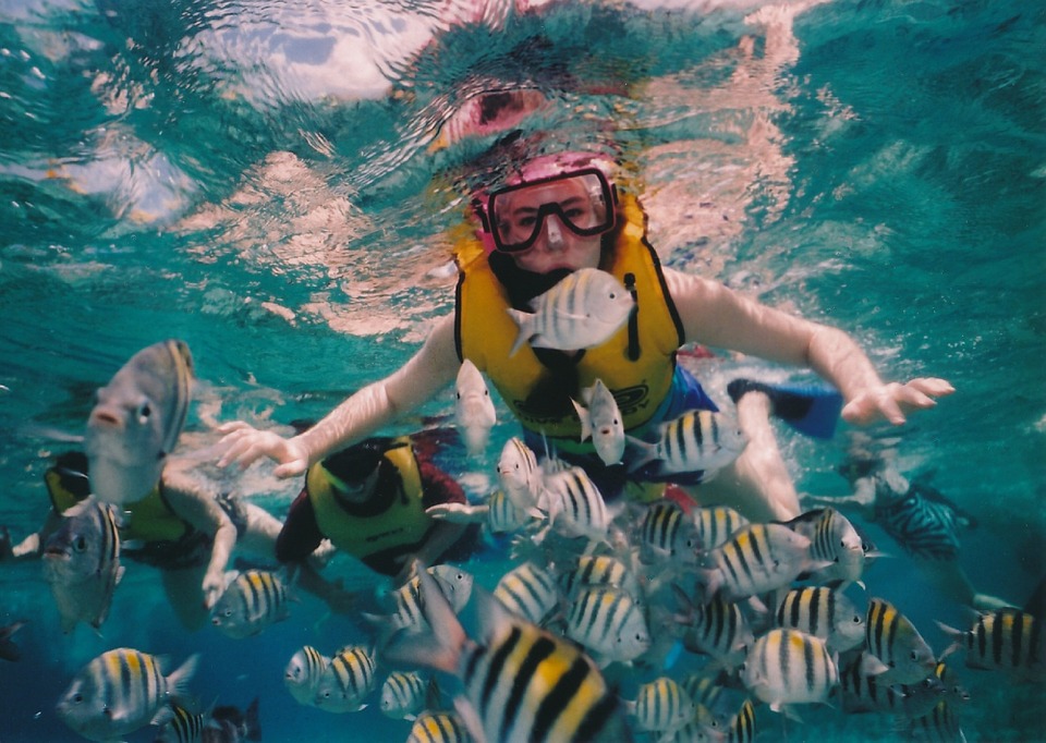 Bali Diving & Snorkeling with Griyasari Tours & Travel
